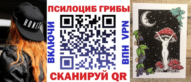 Купить закладки  Киселёвск  Галлюциногенные грибы GOLDEN TEACHER 